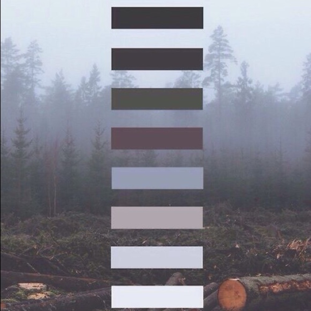 s h o e s